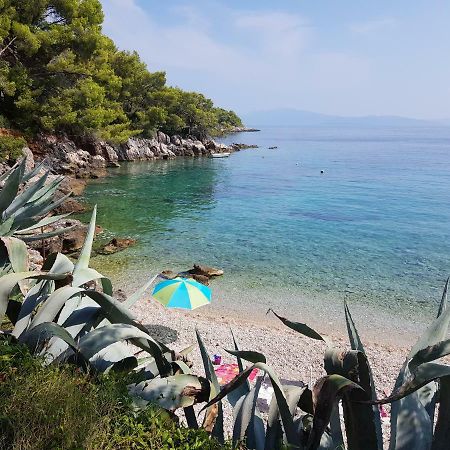 Zastražišće Robinson Crusoe Holiday House المظهر الخارجي الصورة